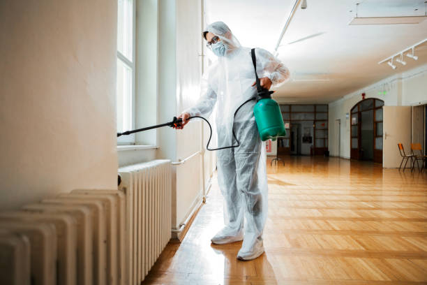 Best Fumigation Services  in Fairmount, CO